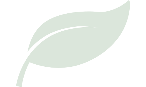 Fertilité : ces plantes comme alliées naturelles